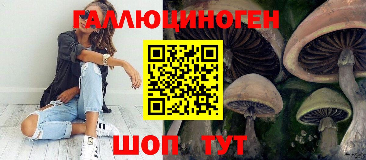 Псилоцибиновые грибы Cubensis Моздок